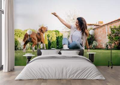 Lovely young woman playing with her beagle dog in the backyard. Wall mural