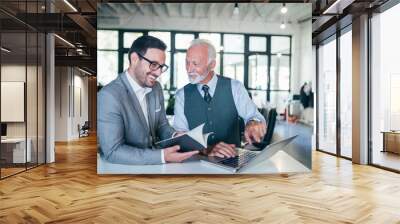 Portrait of young and senior business men working together. Wall mural