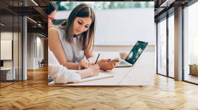 Two female colleagues in office working together. Wall mural