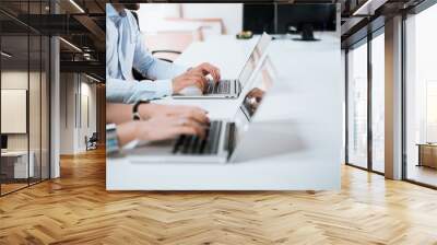 Young group of people doing their jobs on laptops. Wall mural