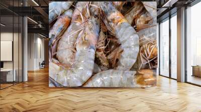 Fresh prawns over the sink to clean. Shrimps background for background texture Wall mural