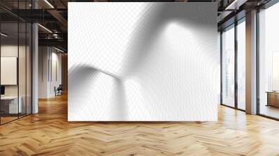 Abstract 3d wireframe terrain ,3d Illustration ,Outline curve Wall mural