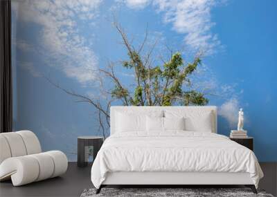 Fresh green trees in the bright blue sky. Wall mural