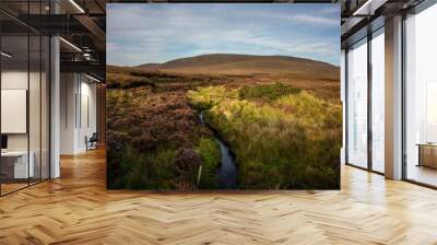 Expansive Irish peat landscape adorned in warm autumn colours. Wall mural