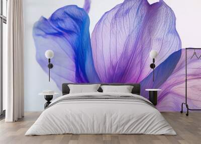 Background with blue and purple flower petals, macro detail Wall mural