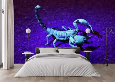 Scorpion glow blue-green under UV light on the street Wall mural