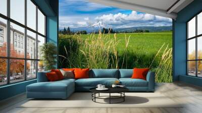 A green hay field with irrigation sprinklers, hood River Oregon Wall mural