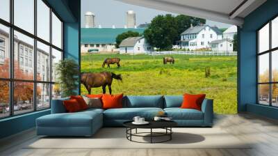 Amish farm with barn and horses in foregroundnear Intercourse, PA Wall mural