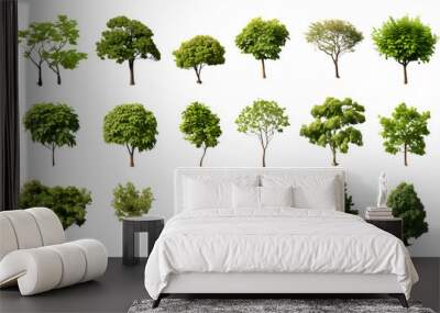 Overhead Tree Collection Isolated on Transparent or White Background, PNG Wall mural