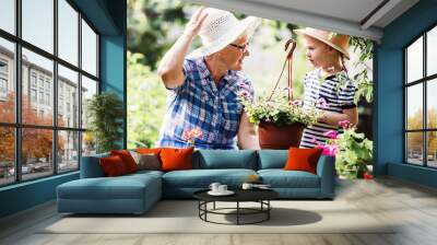 Gardening with kids. Senior woman and her grandchild working in the garden with a plants. Hobbies and leisure, lifestyle, family life Wall mural