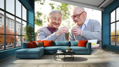 Happy senior asian couple having meal in the yard Wall mural