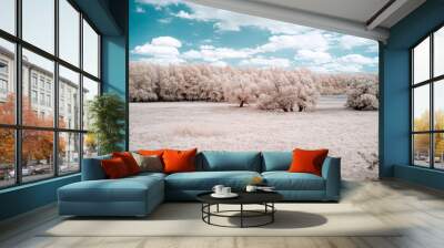 Infrared photography, landscape, nature in invisible spectrum Wall mural