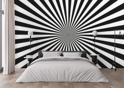 Sunburst element. Radial stripes background. Sunburst icon collection. Wall mural