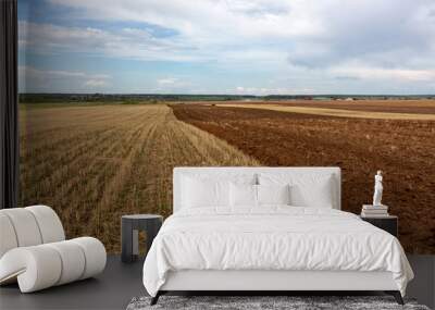 field of wheat Wall mural