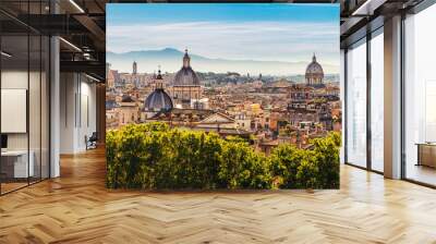 Panorama of the ancient city of Rome, Italy from the Castel Sant'Angelo Wall mural