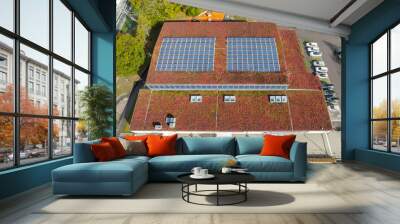 Aerial view on a solar battery panel on a roof of a building. Ecological, green roof.  Wall mural