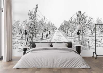 Vineyard landscape hand drawn horizontal sketch vector illustration isolated on white Wall mural