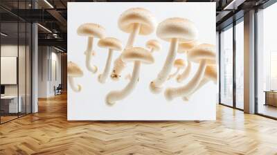 A cluster of white mushrooms with distinct caps and stems against a light background. Wall mural