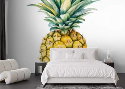 A detailed illustration of a pineapple, showcasing its vibrant colors and textures. Wall mural