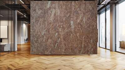 Wallpaper of plywood,High resolution Background. Wall mural