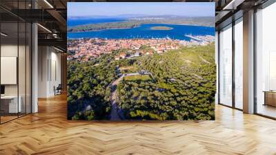 croatia aerial Wall mural