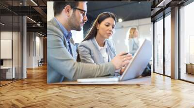 Two business coworkers working on laptop computer at office Wall mural