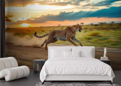 Cheetah Running at Sunset in the African Savanna. Wall mural