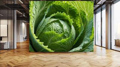 Closeup of a Fresh Cabbage Head. Wall mural