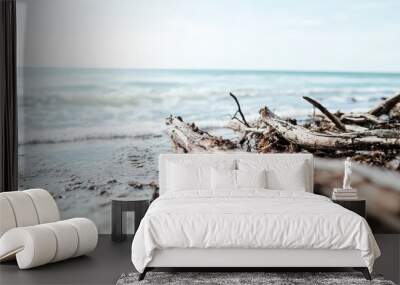 Driftwood on Sandy Beach with Ocean Waves in Background Wall mural