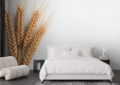 Golden Wheat Spikes on White Background   Harvest  Agriculture  Food  Nature Wall mural