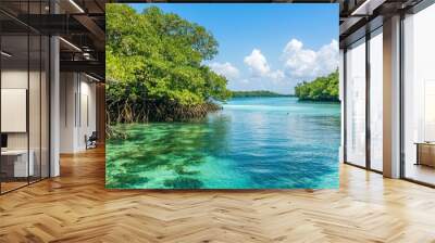 Tropical Mangrove Lagoon with Clear Blue Water and Lush Green Foliage Wall mural