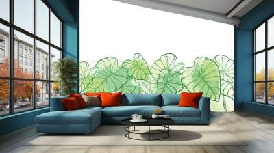 Bunch of outline tropical leaf Colocasia esculenta or Elephant ear or Taro plant in pastel green on the white background.  Wall mural