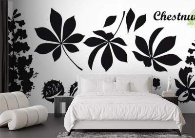 Set of silhouettes Buckeye or Horse chestnut flower, seed and leaf in black isolated on white background.  Wall mural