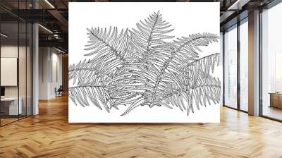 Vector drawing of outline fossil forest plant Fern with fronds in black isolated on white background. Contour Fern bush with ornate leaf for summer design or floral coloring book. Wall mural