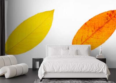 Set of cherry colorful leaves isolated on white background Wall mural