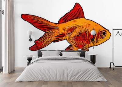 gold fish illustration - vector Wall mural