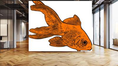 gold fish illustration - vector Wall mural