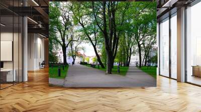 Trees in park near Cathedral place in Vilnius town Wall mural