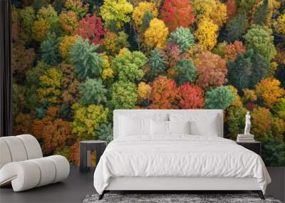 Beautiful aerial view of forest with beautiful autumn colors of nature drone view Wall mural