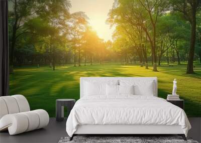 Beautiful blurred background of natural greenery in the park at sunrise or sunset. Wall mural