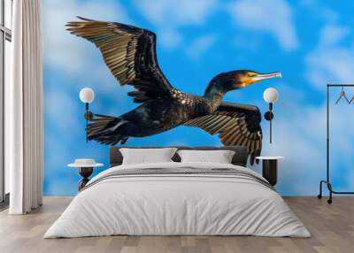 Cormorant in Flight Against Blue Sky Wall mural