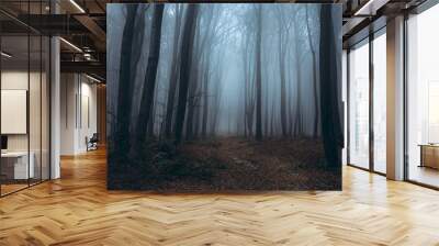 Dark trail in foggy forest Wall mural