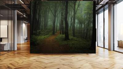 Dreamy foggy dark forest. Trail in moody forest. Alone and creepy feeling in the woods Wall mural