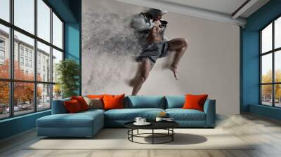 Adult male fighter MMA. Wall mural