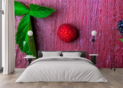 Banner of Blackberry and raspberry on red wooden background. Wall mural