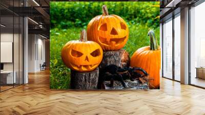 Halloween.  Jack-o-Lantern. scary pumpkin with a smile near candles and spider in green forest, outdoor. Decoration. Wall mural