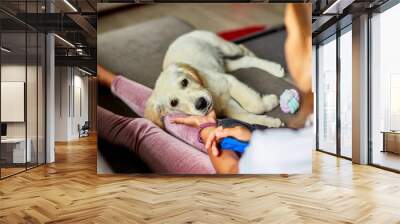 Happy teenage girl lying on sofa and embracing her puppy golden retriever pet, Love domestic animals, Friends at home Wall mural