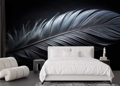 A Single Feather in a Dark Backdrop, Black and White Photography, Silhouetted Bird Feather, Minimalist Feather Design, Feather Texture, feather, black and white Wall mural