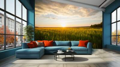 Beautiful landscape with field of ripe rye and blue summer sky Wall mural