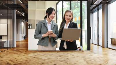 Asian businesswoman showing her new marketing project on laptop to her female colleague Wall mural